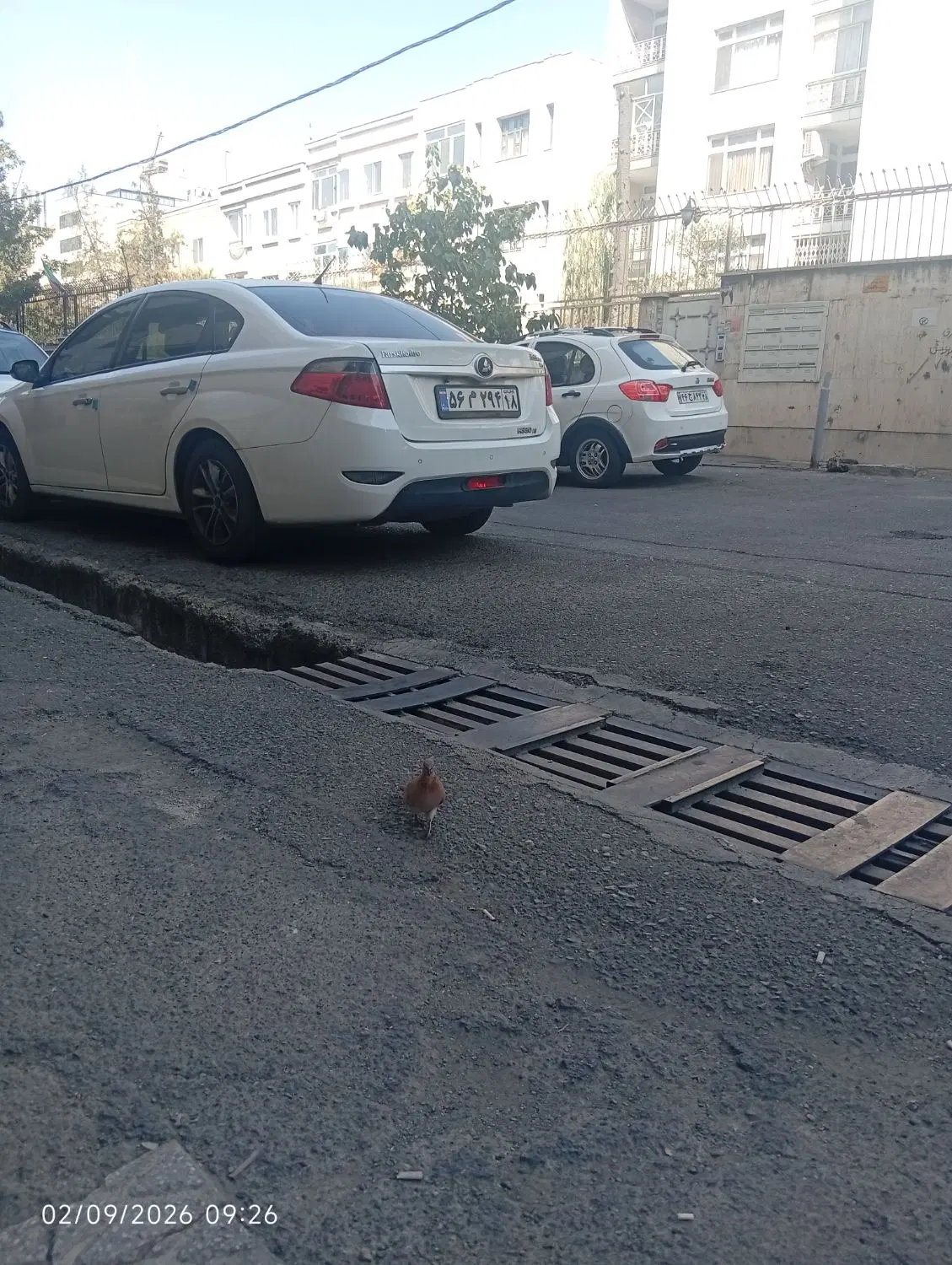 منزل میدان 9دی