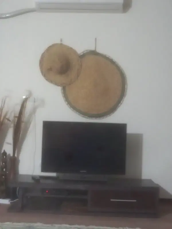 هم خانه
