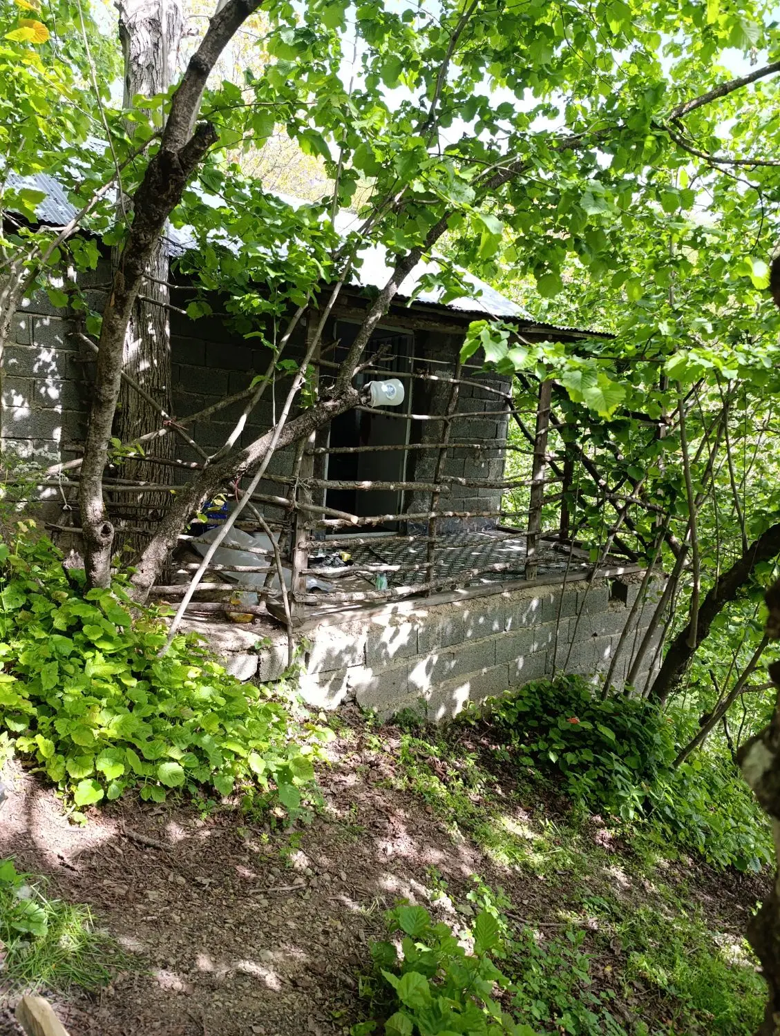 خونه و باغ روستایی