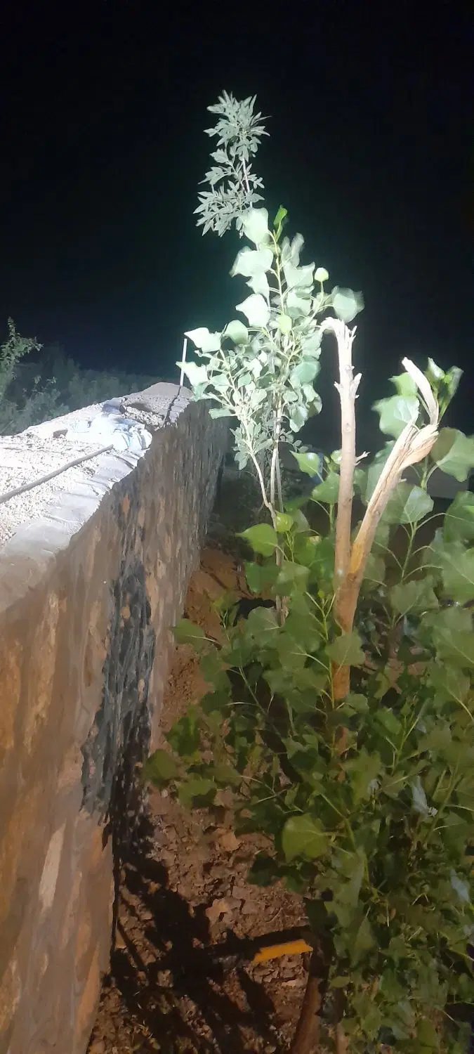 خانه ویلایی ۱۲۵۰متر
