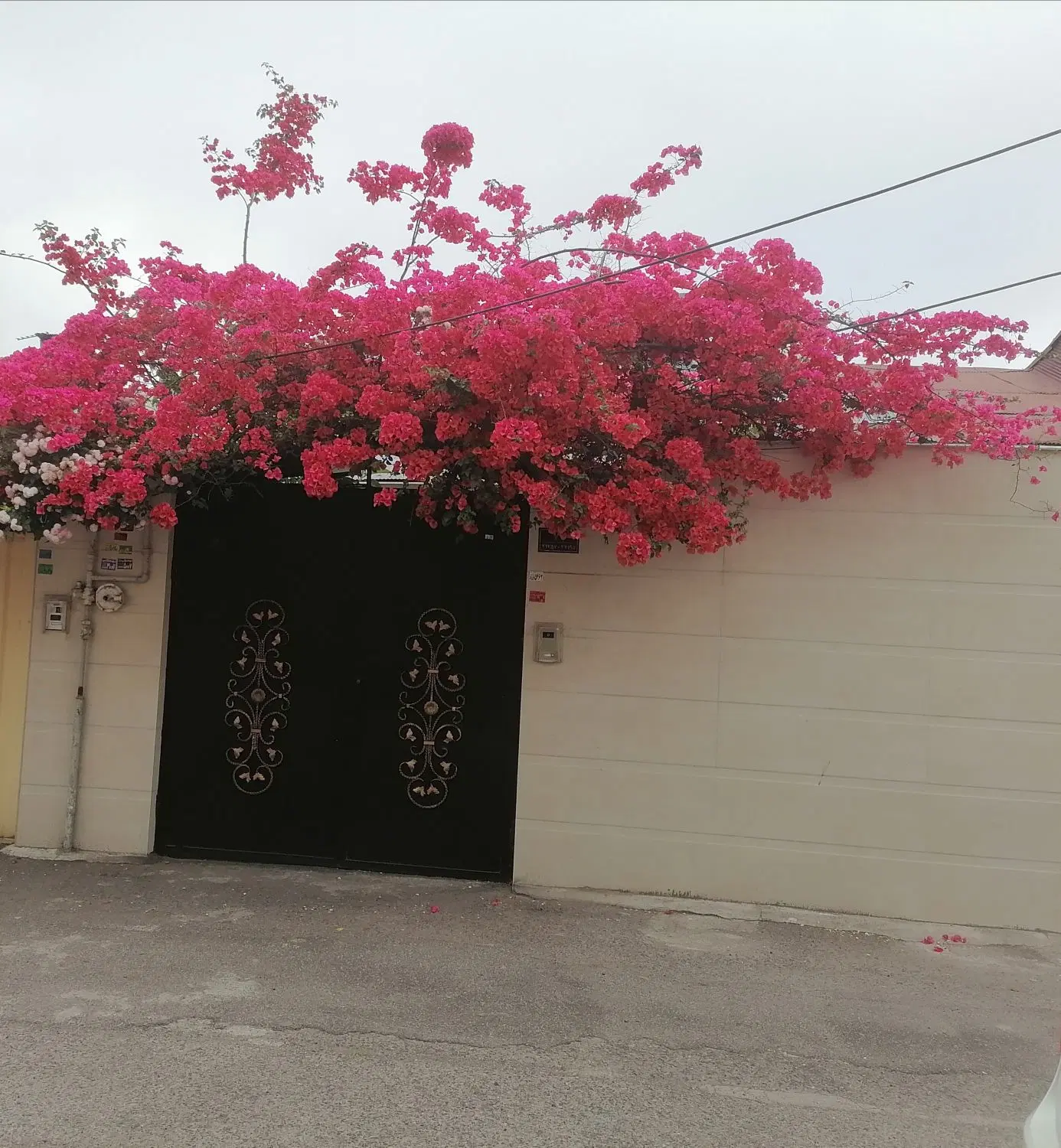 خانه ویلایی نقلی مرکز شهر رشت