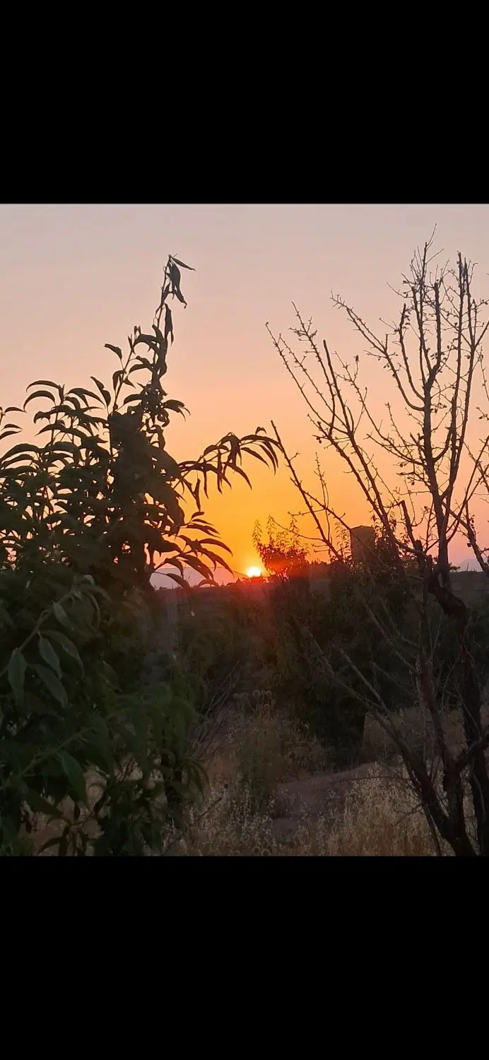 جاده صدرا باغشهری قصر سبز