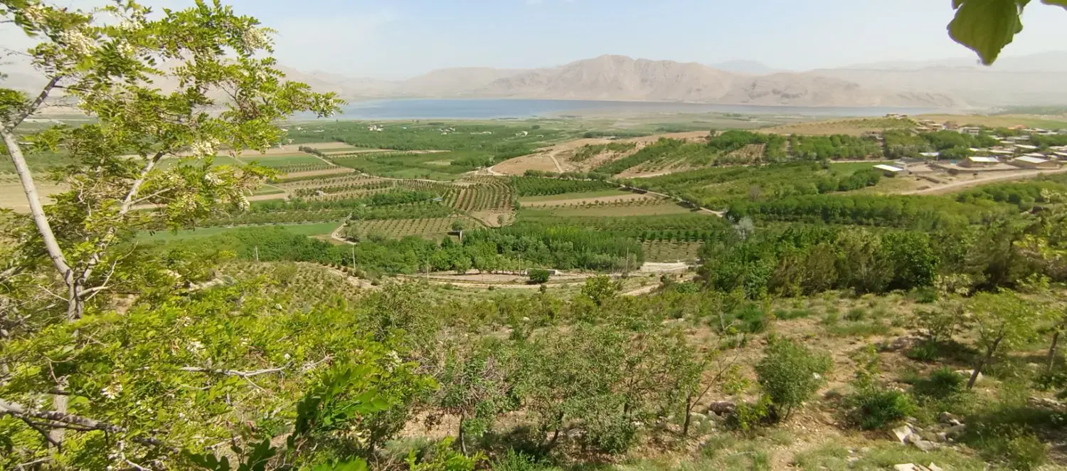زمین شهرک سعدی
