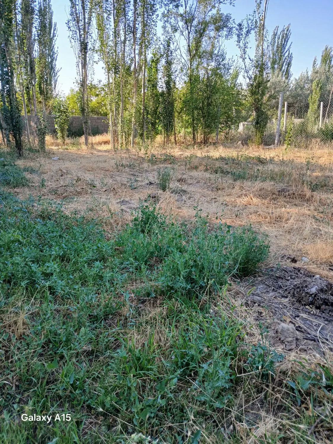 باغچه ۴۰۰ متری