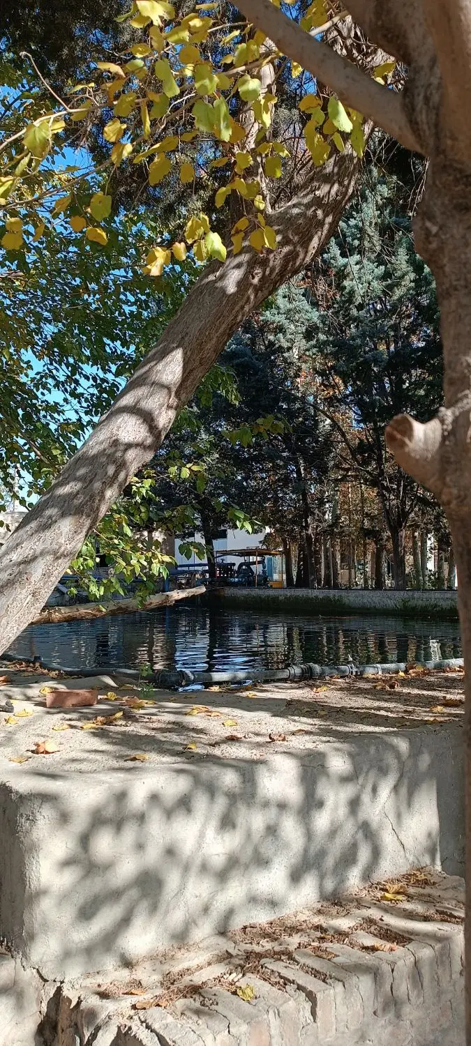 اقامت واسکان رایگان