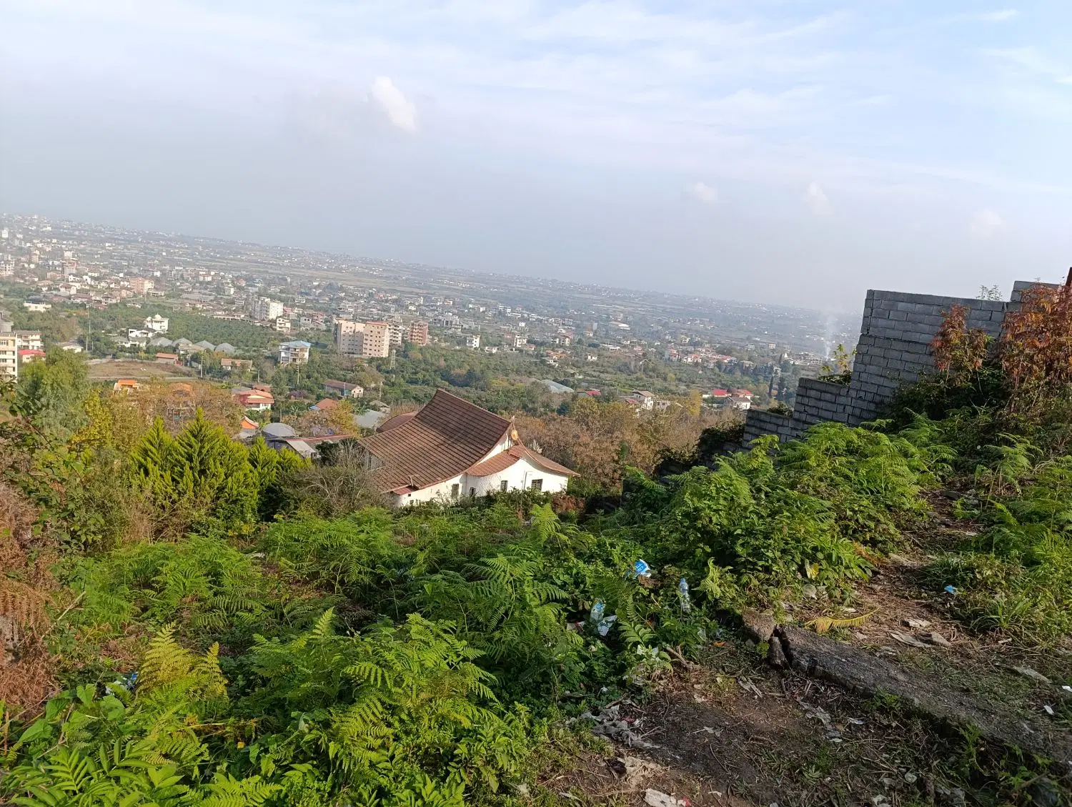 زمین با سند شس دانگ درجه یک