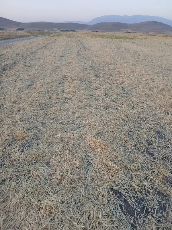 زمین اجازه ای روستایی دوسوند