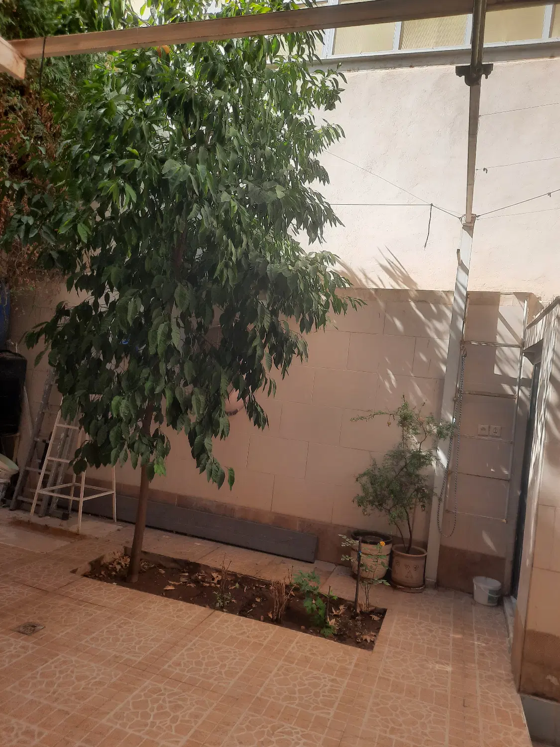 خانه کلنگی ۱۲۰ متری