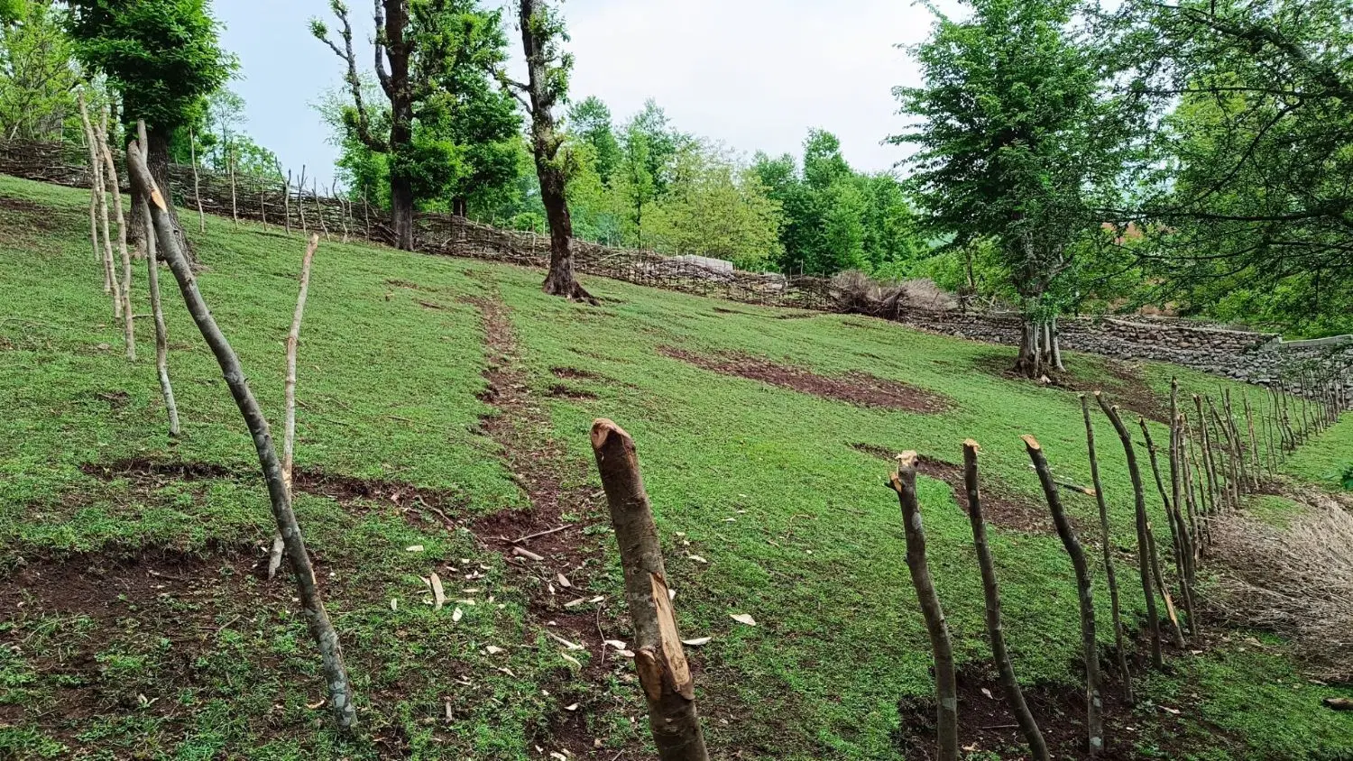 زمین 450متری