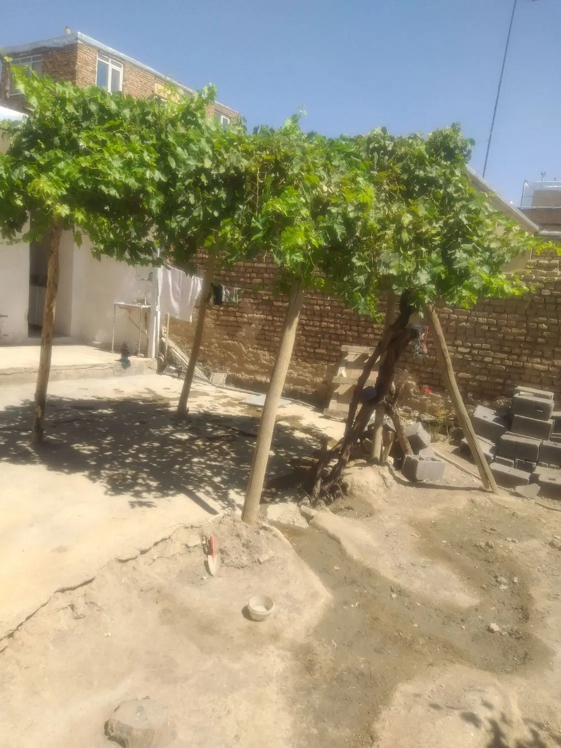 زمین مسکونی
