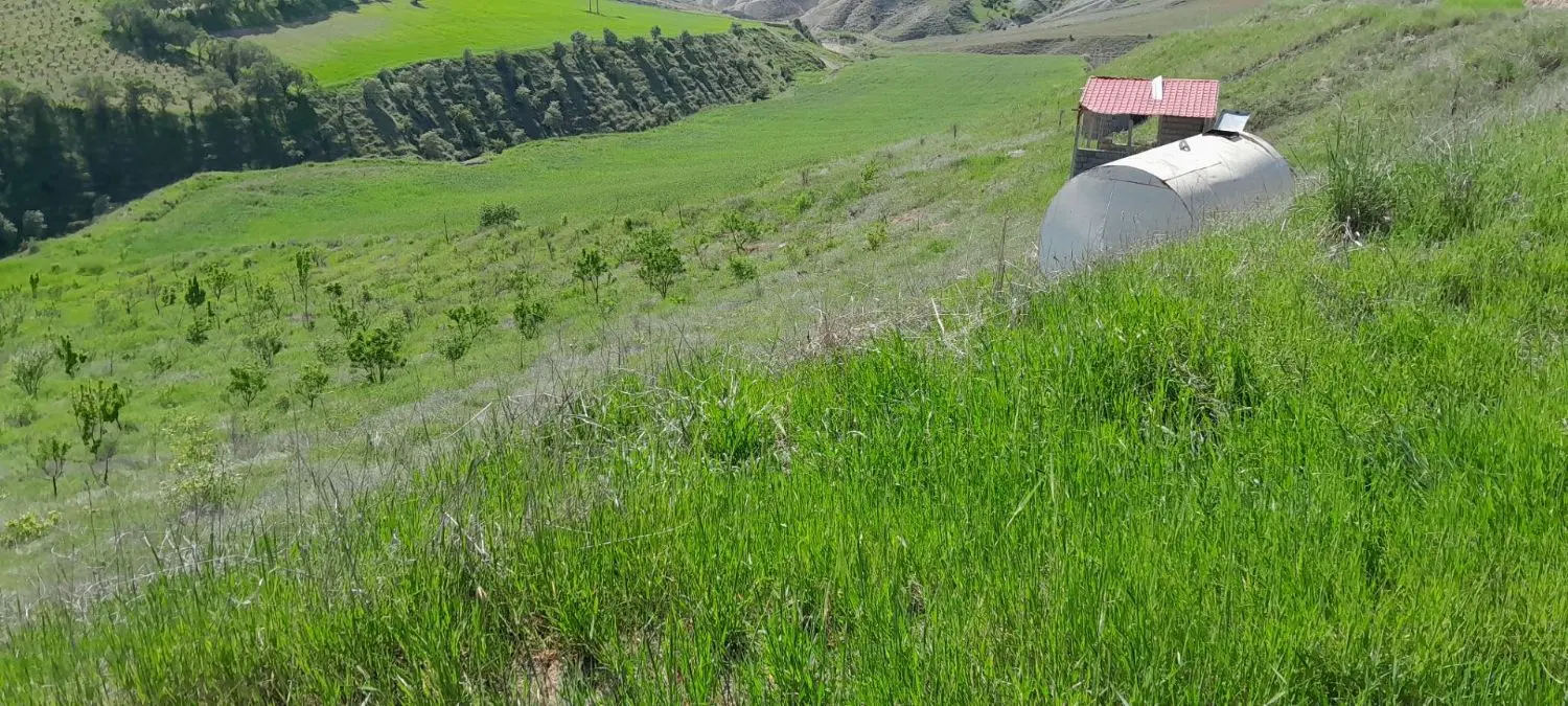 باغ فروشی یا معاوضه باخودرو