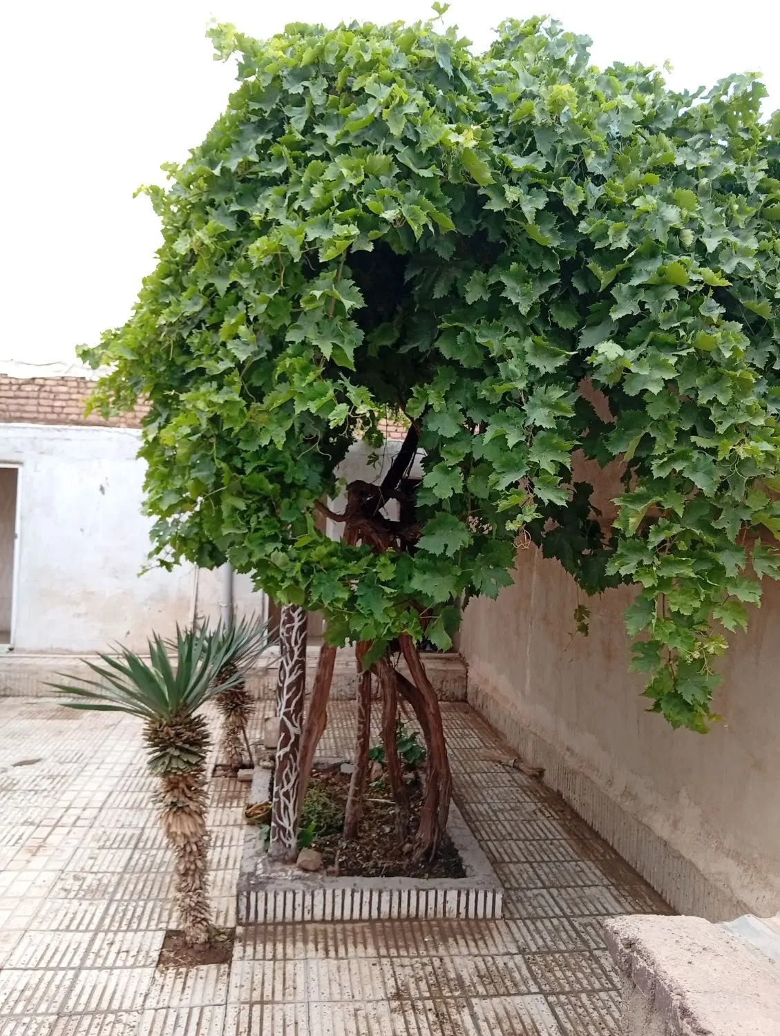 خانه قدیمی معاوضه با خانه ساخته شده جدید