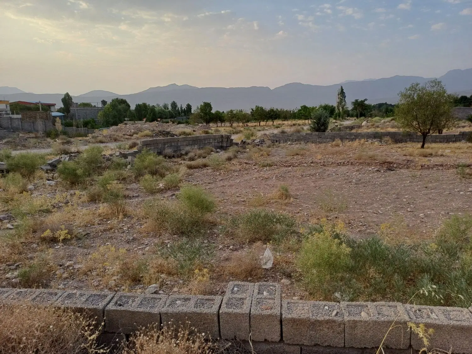 زمین