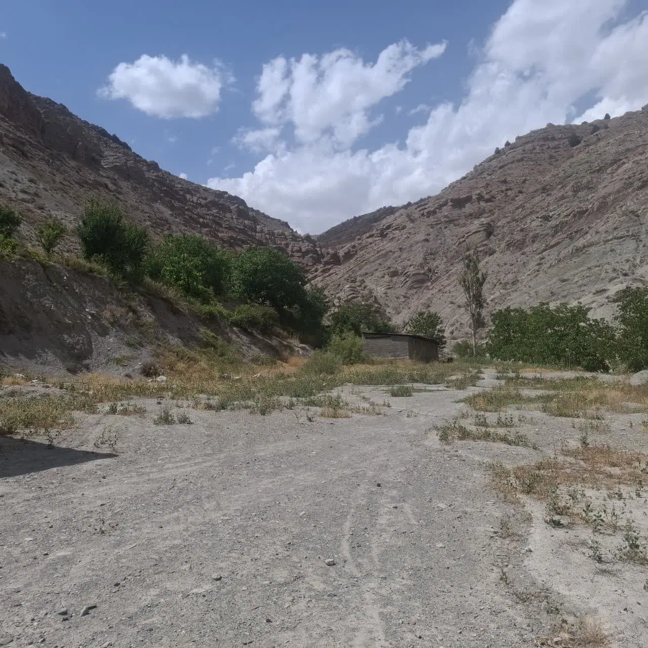 مرغداری