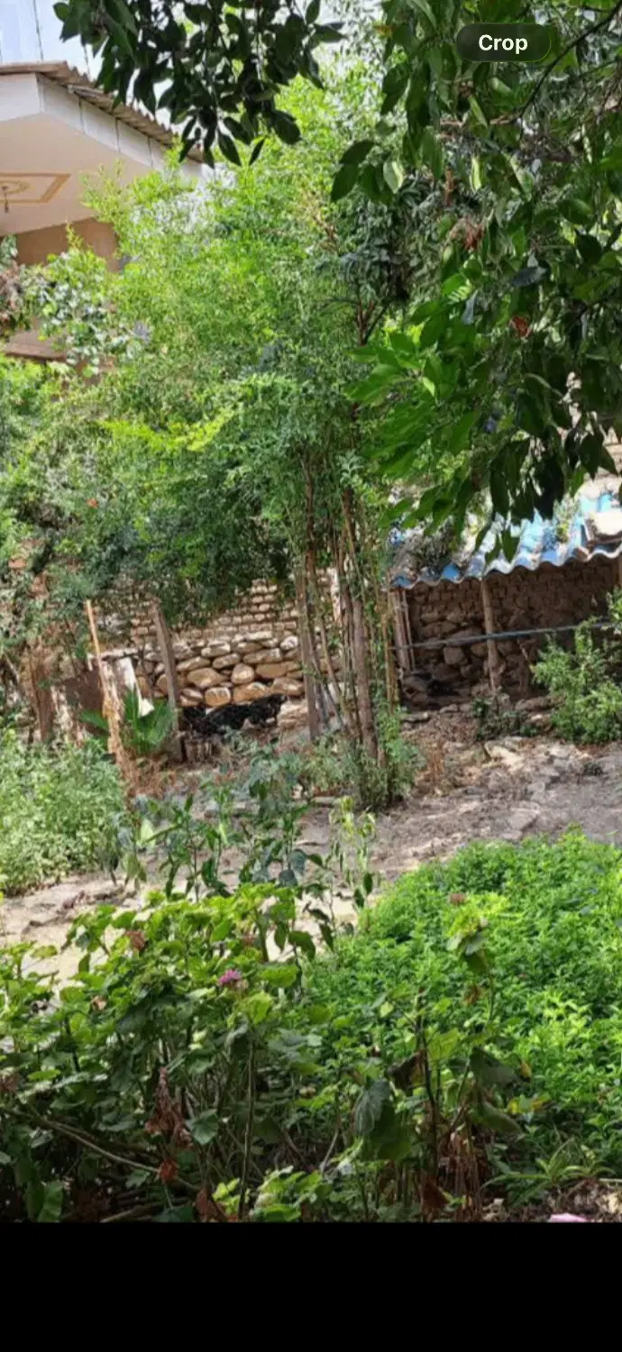 خانه باغ در شمال