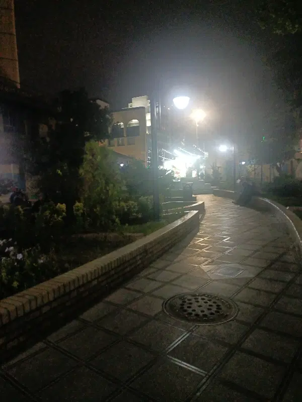 فروش سه هکتار زمین پسته اکبری درجه یک درخت جوان