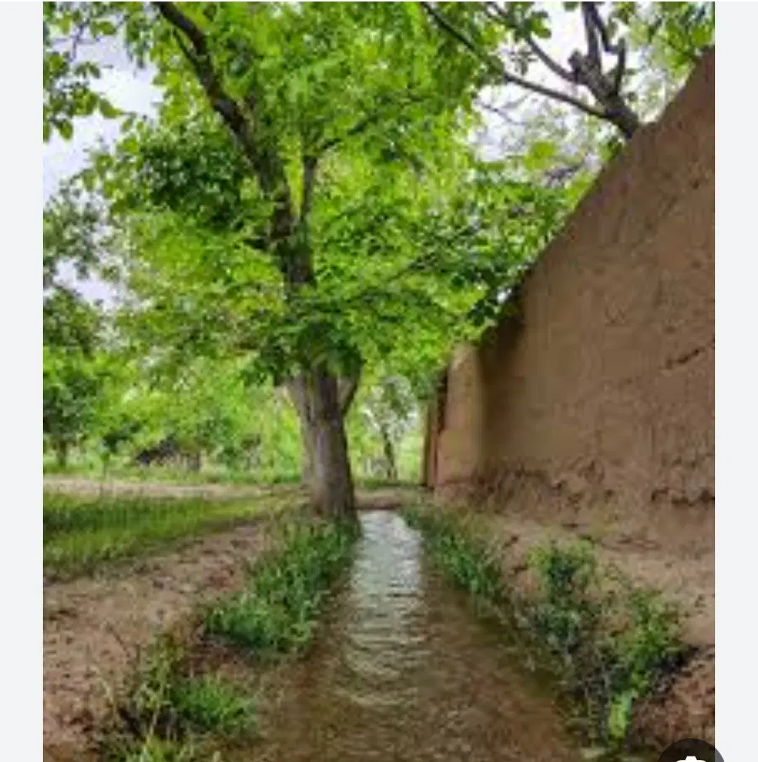 باغ راوند کاشان