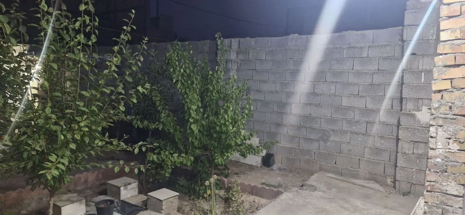 خانه در باغ معروف