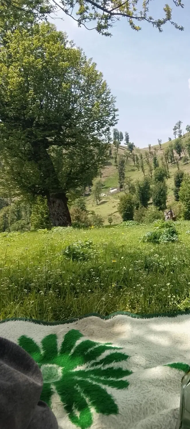 ویلا کوه ستان