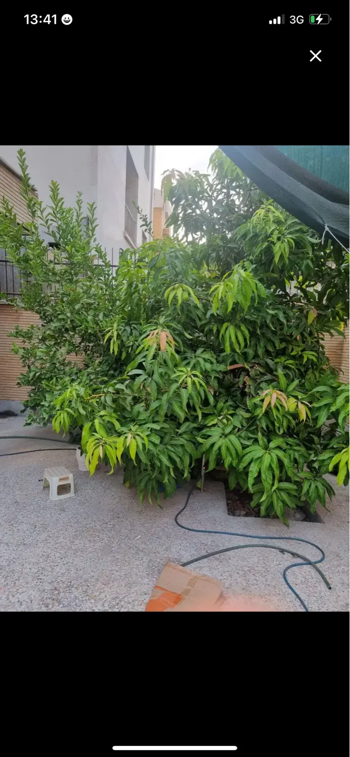 خانه ویلایی ۱۵۰۰ رهن کامل