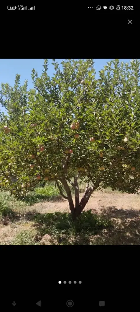 فروش زمین ۶ دانگ تعاونی نسیم شهر قسمت شخصی ها