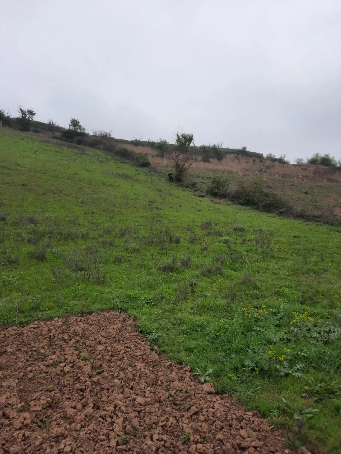 حدود ۶هزار متر زمین شیبدار