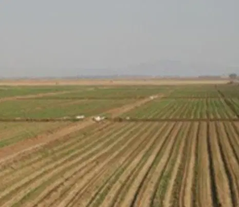 زمین کشاورزی تکمه داش  ارزانفود شکربلاغی انتهاش