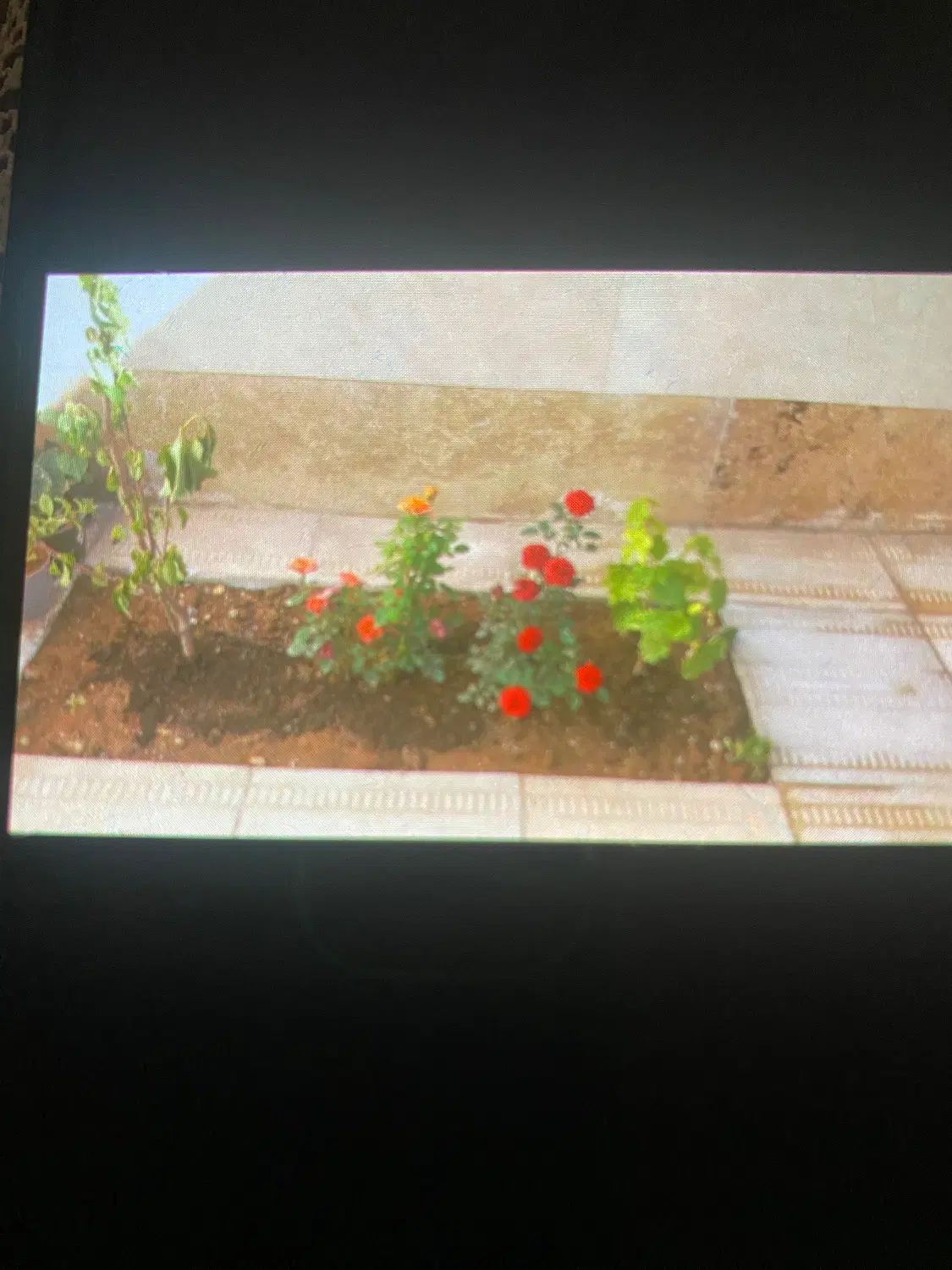 خانه ویلایی ۹۰متر