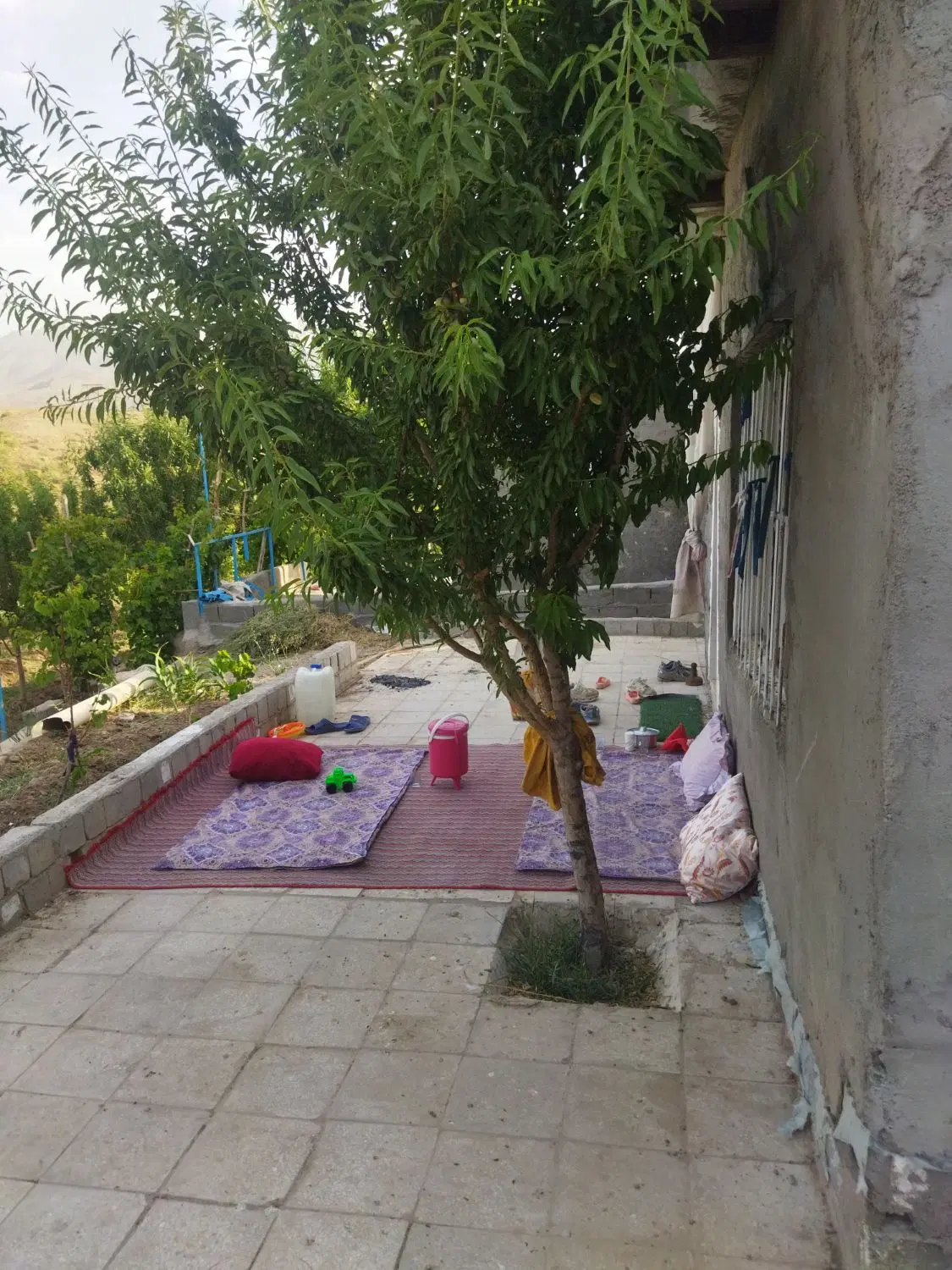 باغ در روستای خنک دیزیجان