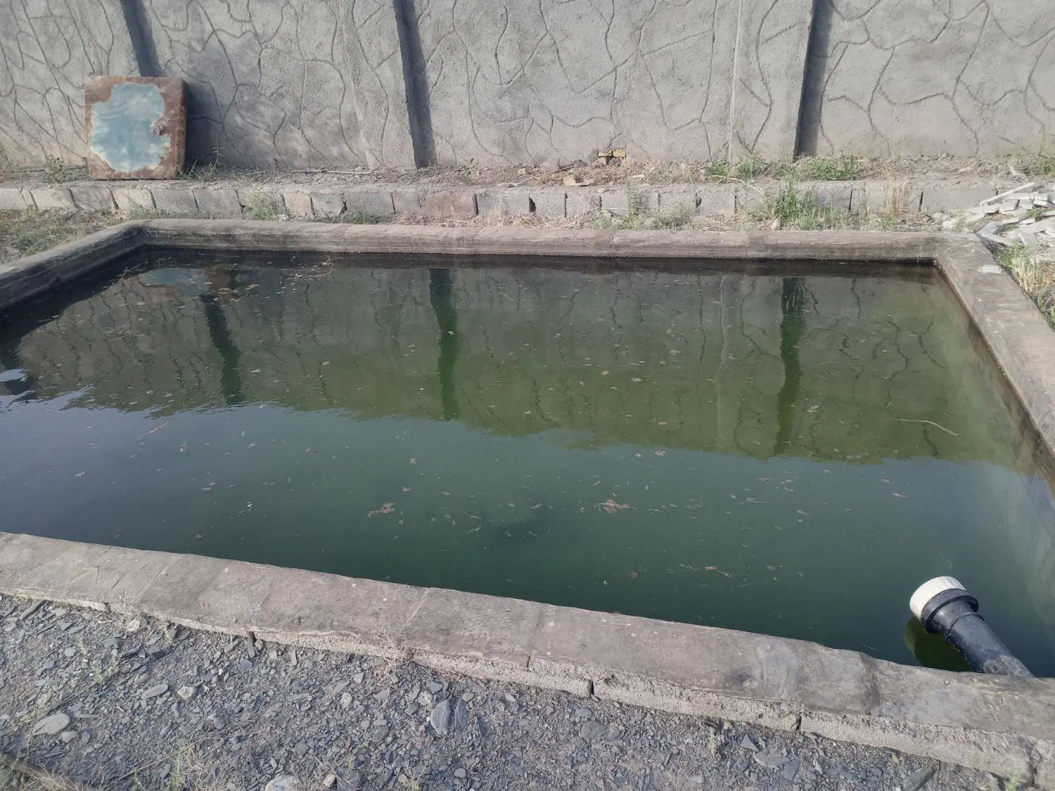 باغ ۱۰۰۰ متری توس ۹۷روستای لقمانی
