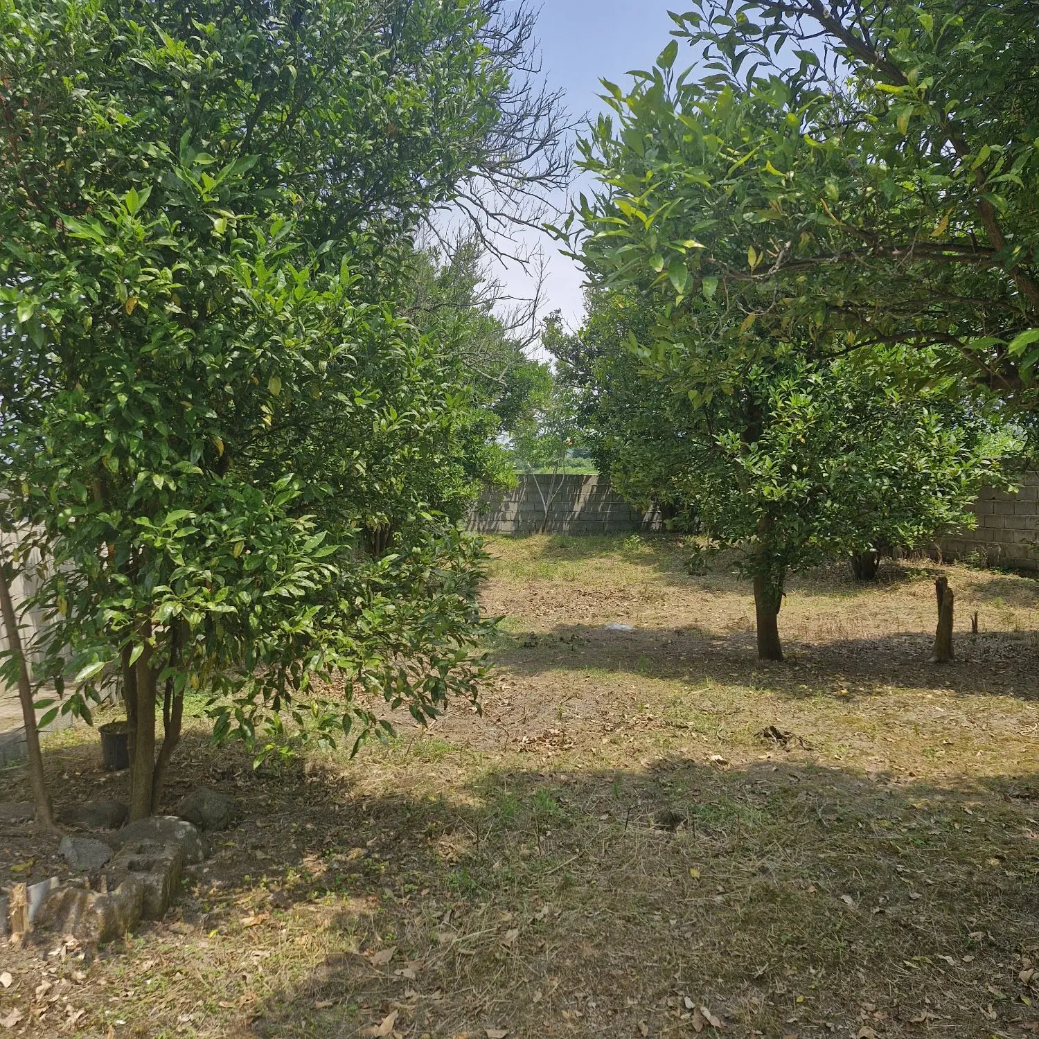 باغ ویلا به متراژ ۱۸۲۳ متر تماما مسکونی