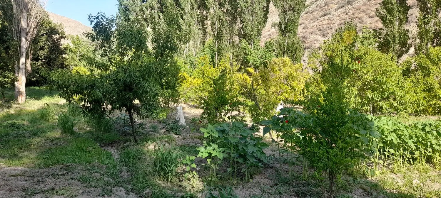 فروش زمین سنددار ۲ هکتاری در گیلاوند دماوند