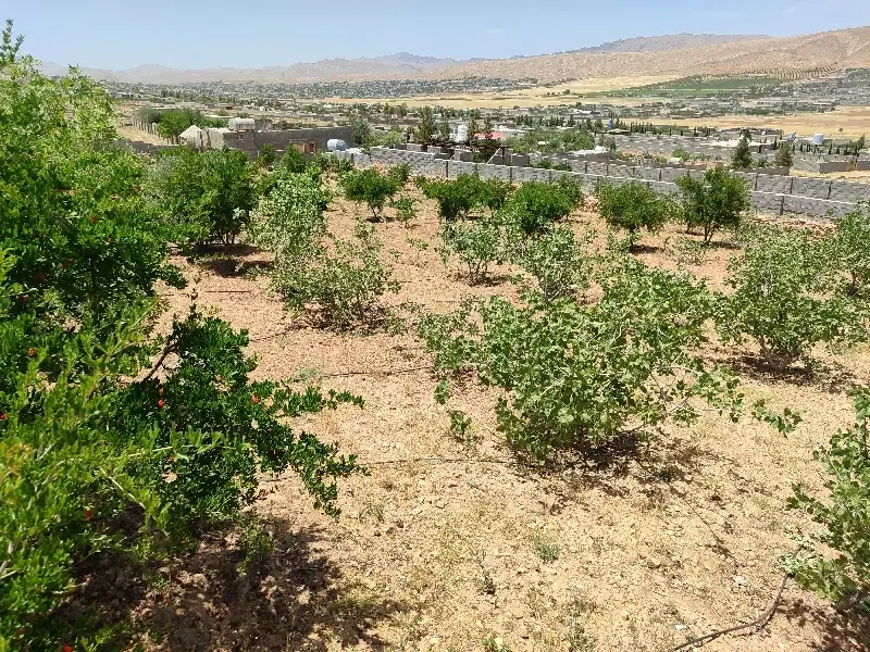 باغ خالد آباد F37