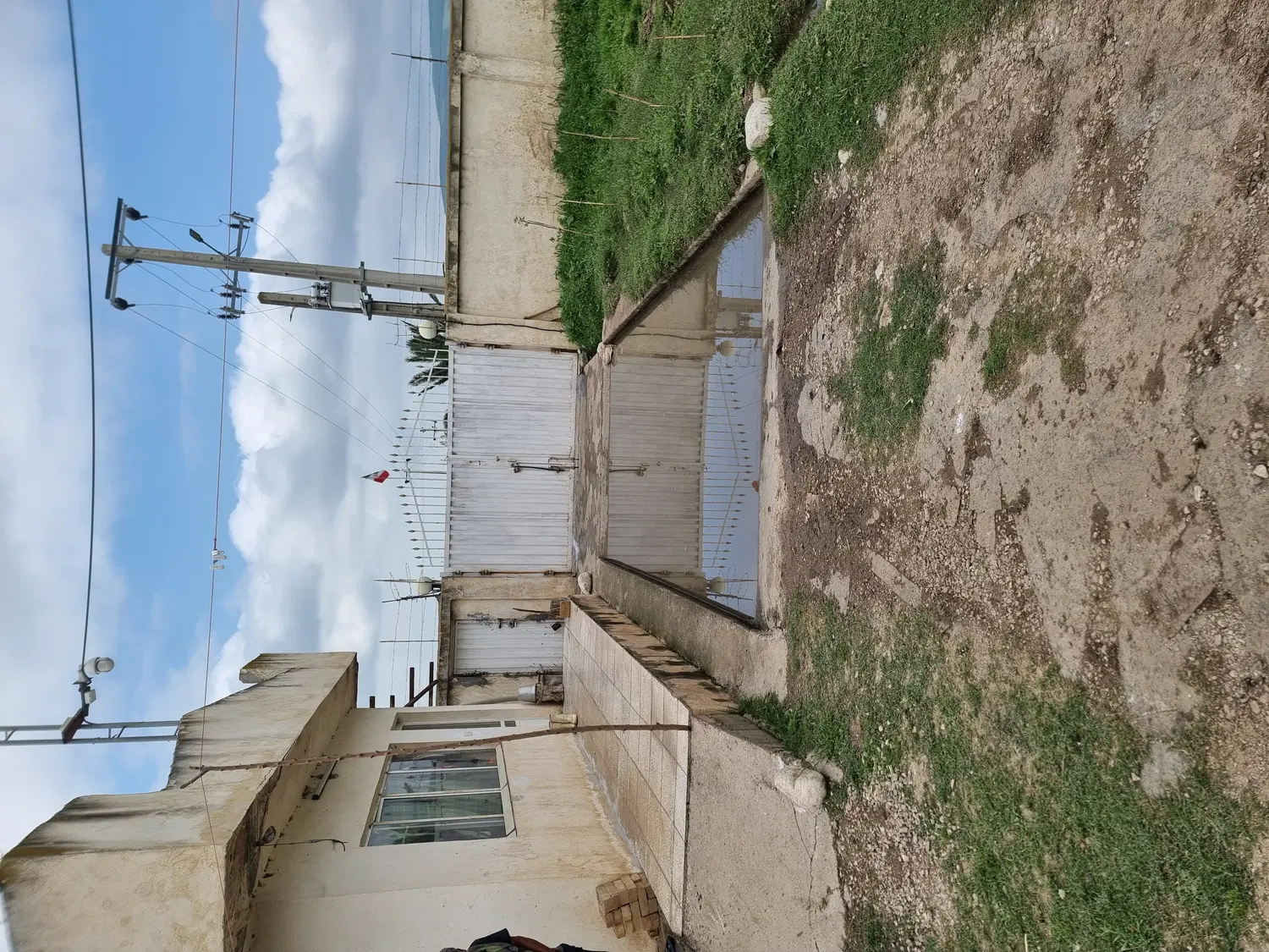 دامداری صنعتی ۵۰ راسی فری استایل