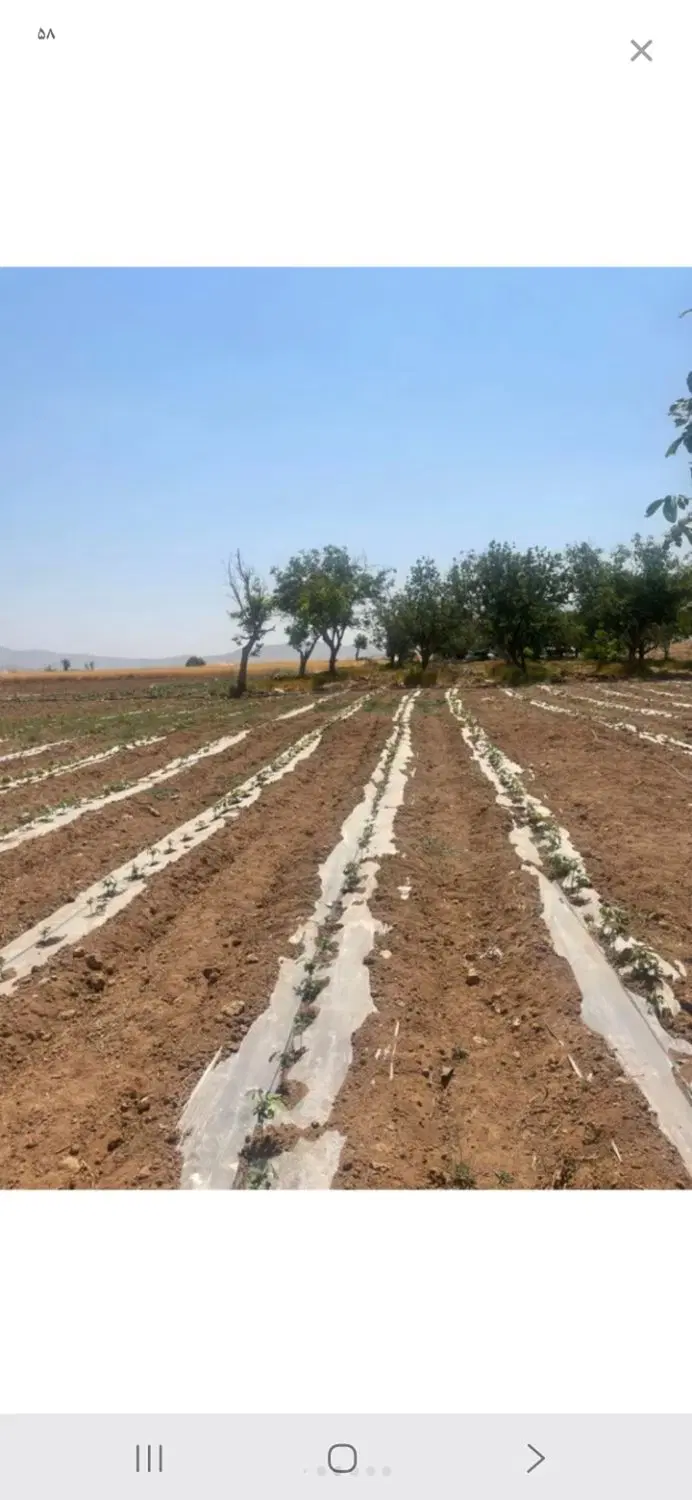 زمین کشاورزی بهار ۱۱ هکتار چاه اب عمیق ۴ اینچ