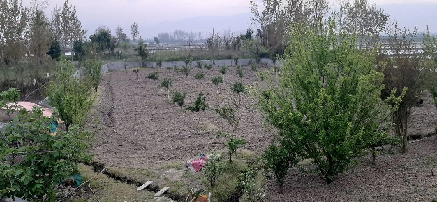 اجاره باغ و سوله برای مناسب گاوداری و مرغداری