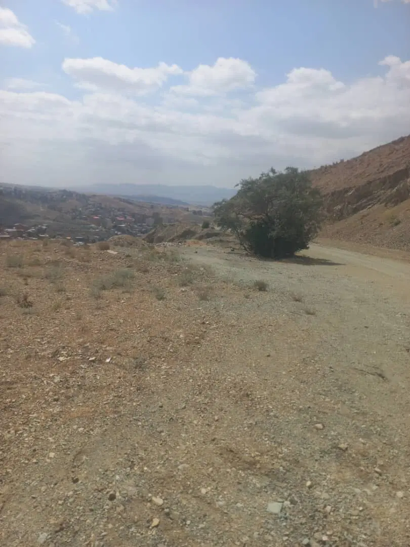 زمین ۲۸۰ متر