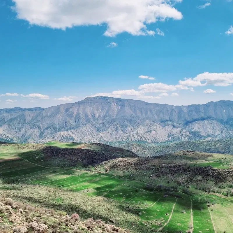 زمین پشت پارسا