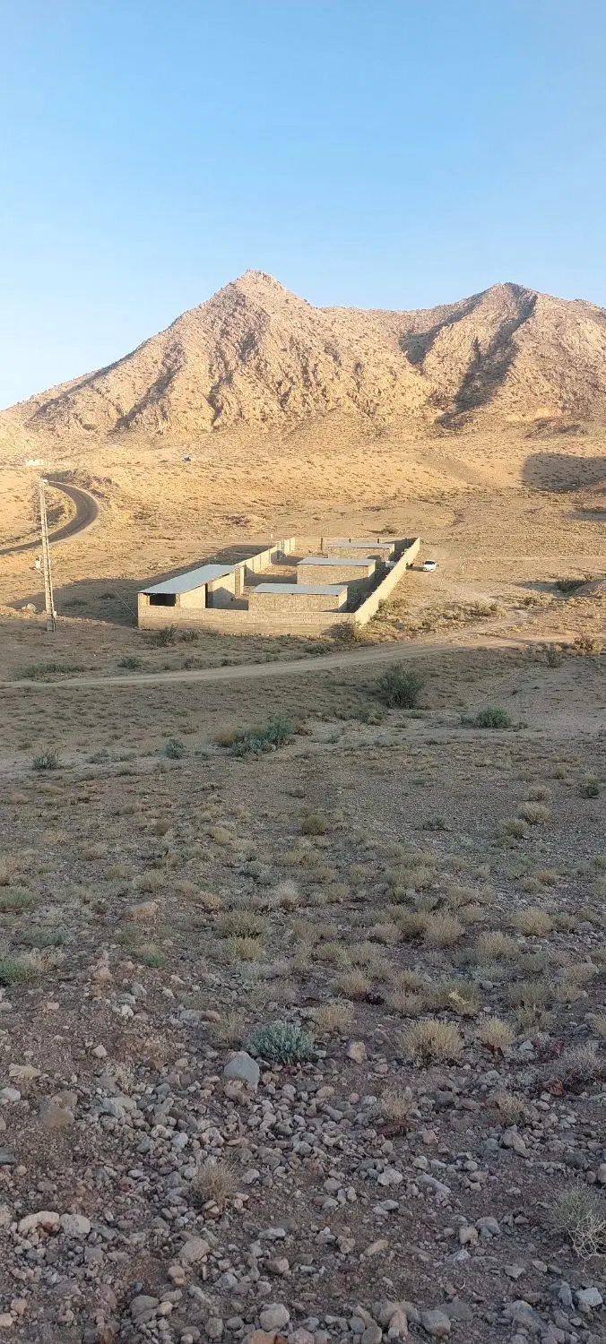 دامداری ۲۰۰ راسی پرواری پروانه دار