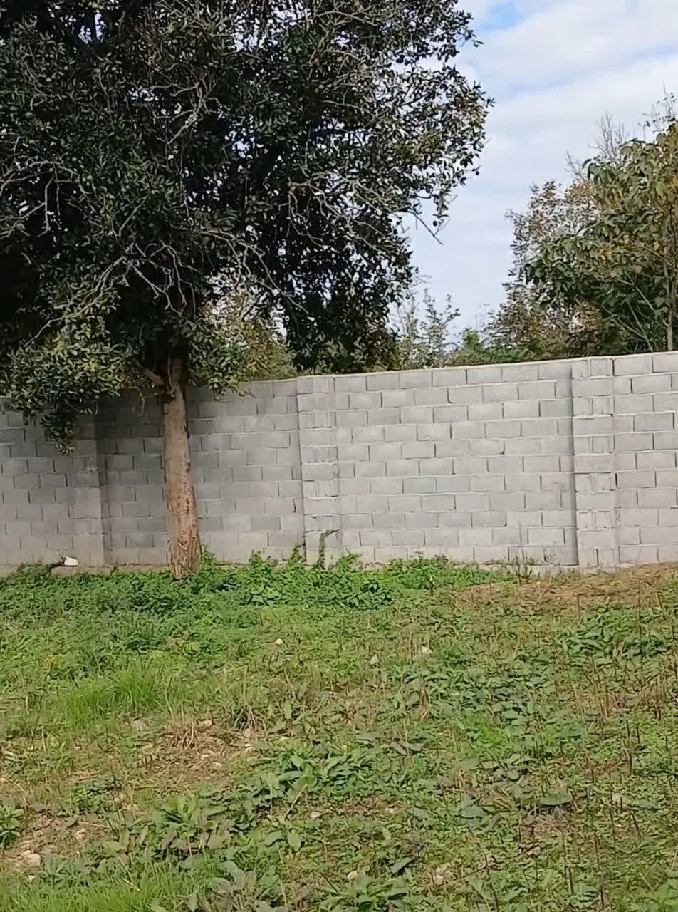زمین مسکونی