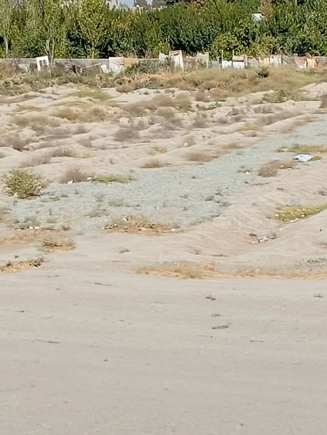زمین
