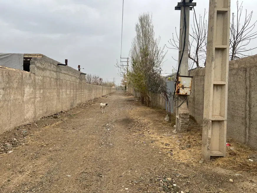 باغچه ۵۰۰ متری