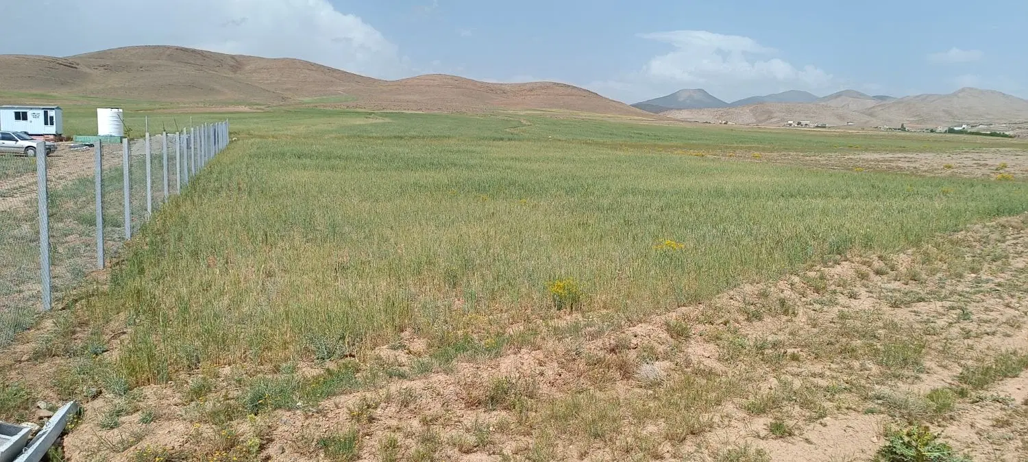 زمین مناسب احداث باغ