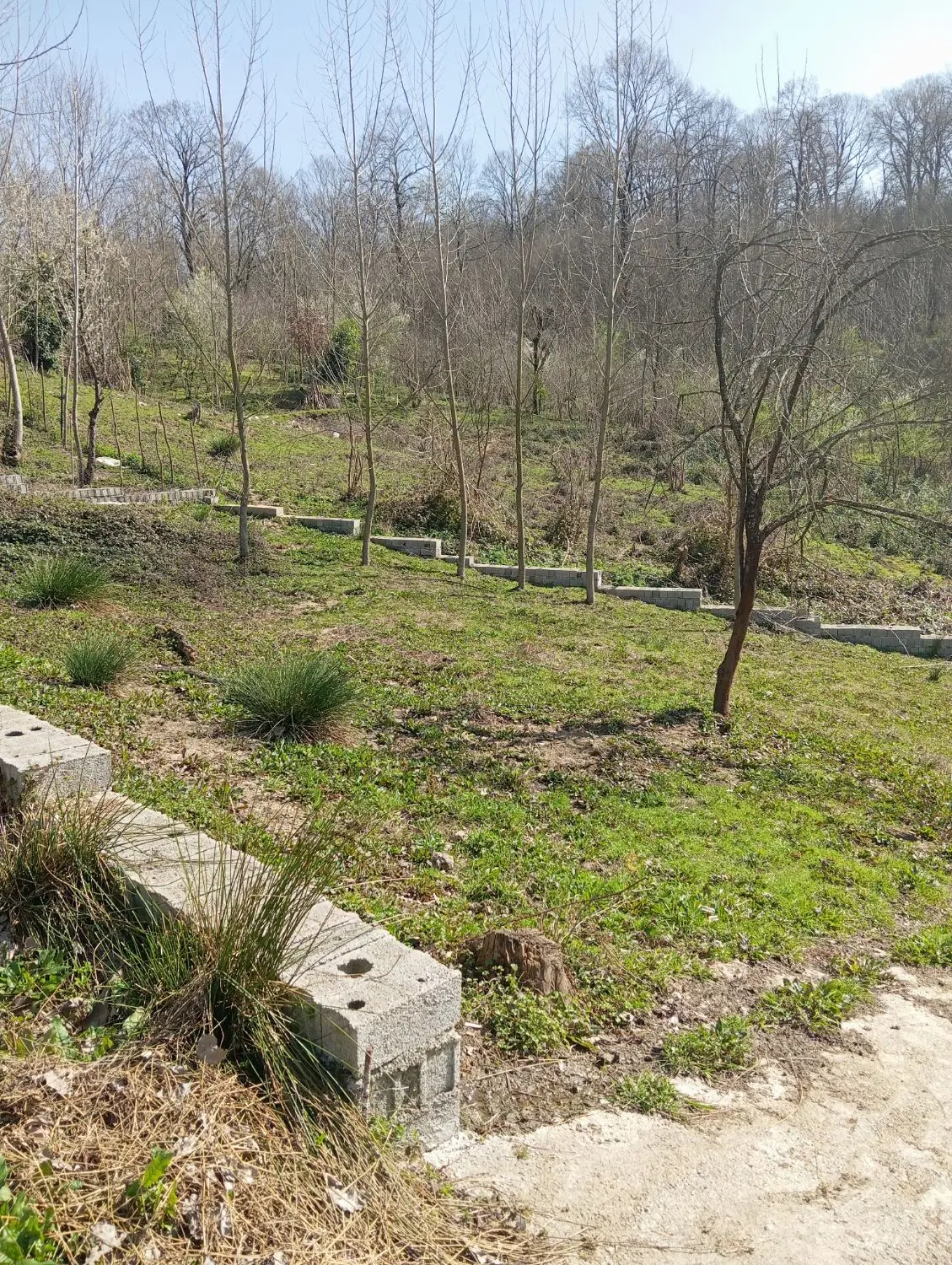 زمین مسکونی 210متری کوهستانی مرادهنده