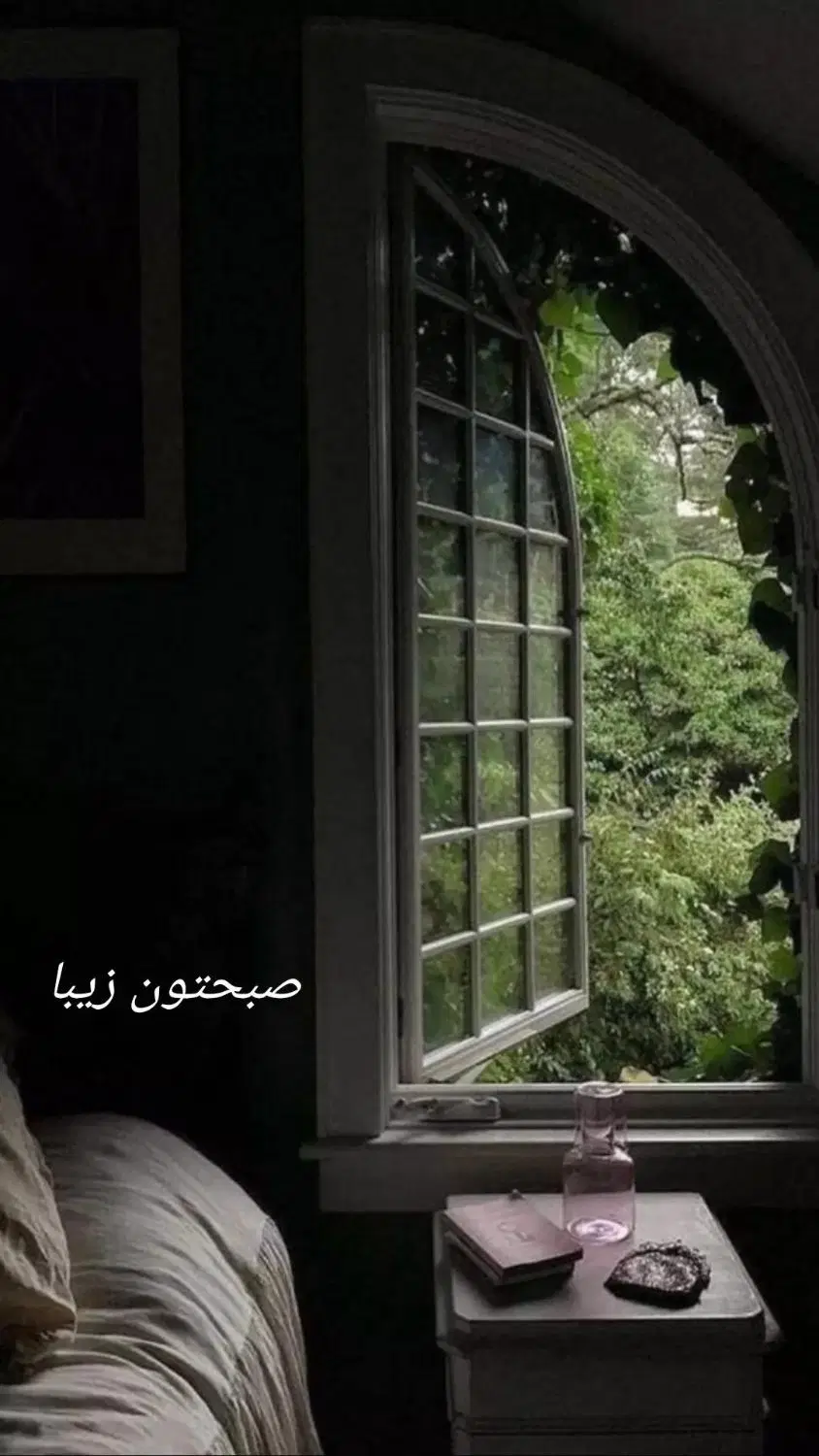 اجاره اتاق از مطب تغذیه به پزشک