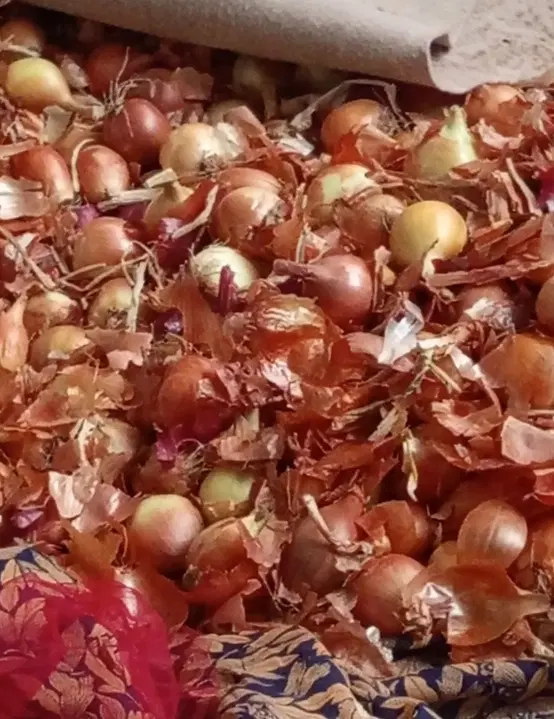 دنبال زمین کشاورزی شراکتی