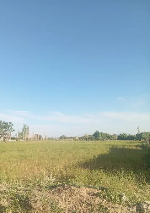 زمین فروشی