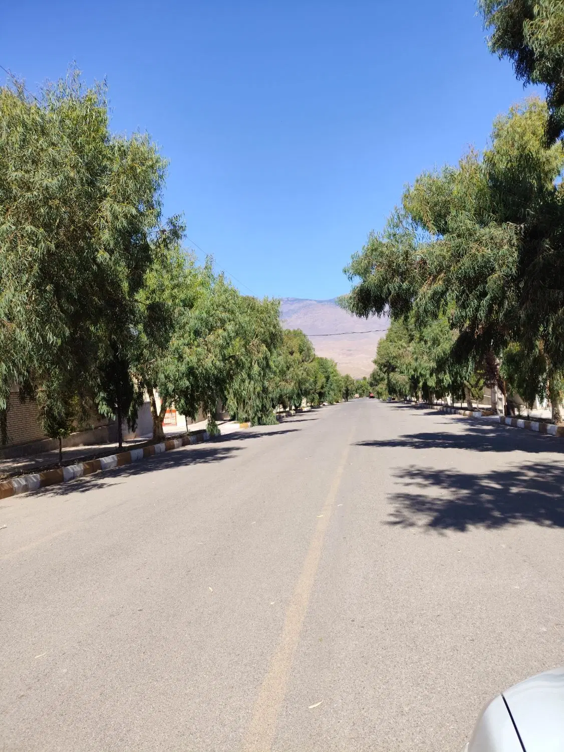 آپارتمان تک واحدی سنددار