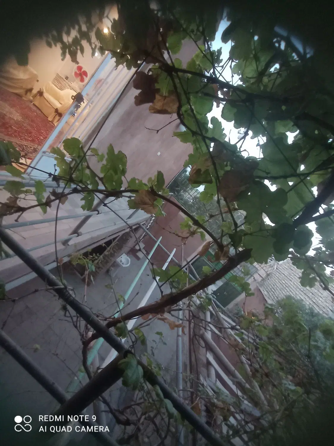 خانه باغ اصطبل کارگاه با سند قطعی