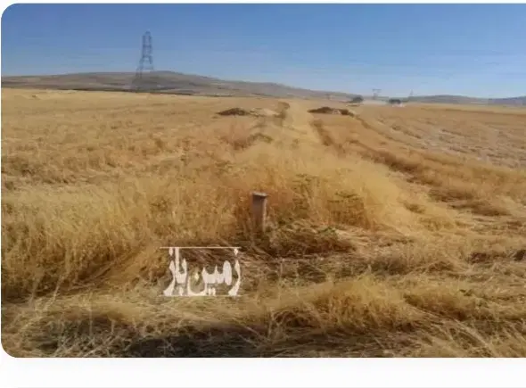 زمین کشاورزی